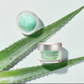 Sorbet Cream - High Hydration