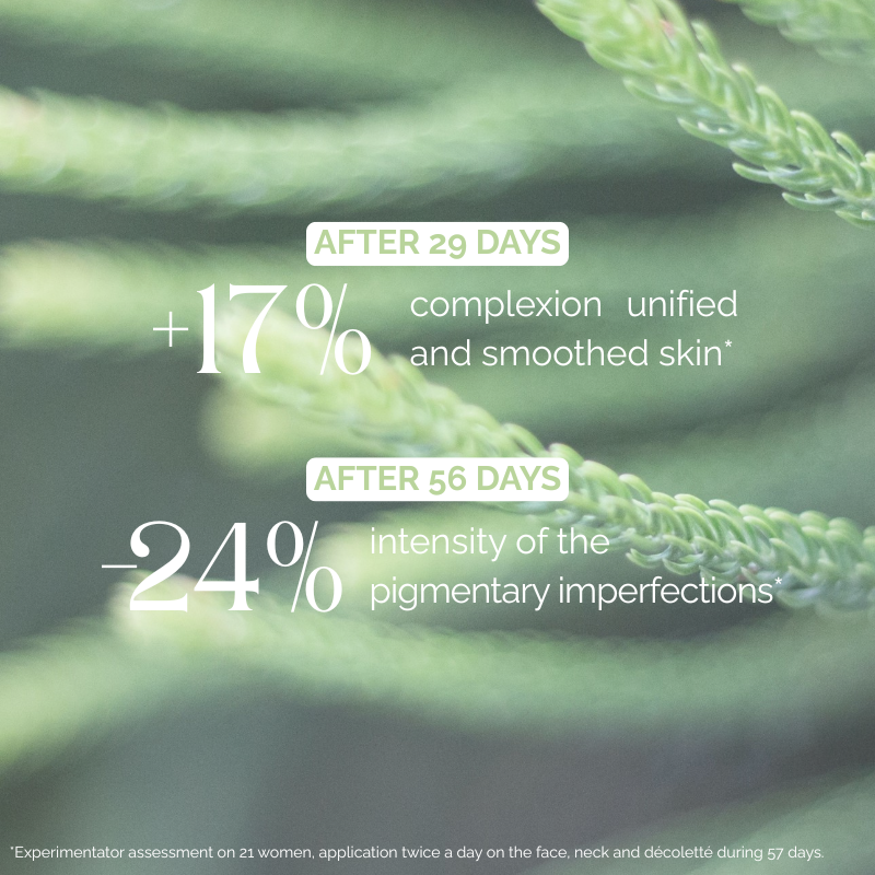 Vitamin C Pigmentation Perfecting Serum - White Pine Perfect Glow Care